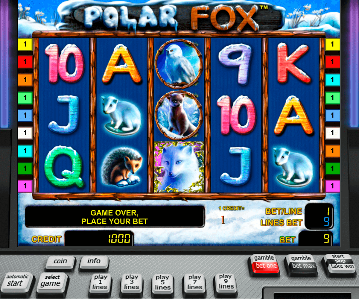 polar fox novomatic